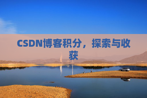 CSDN博客积分,探索与收获